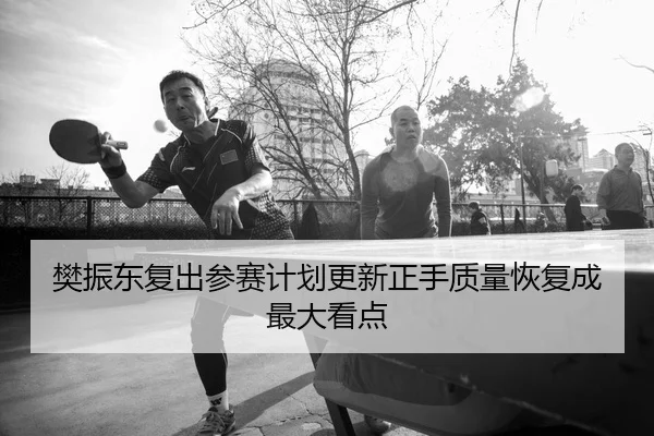 樊振东复出参赛计划更新正手质量恢复成最大看点 | bandao